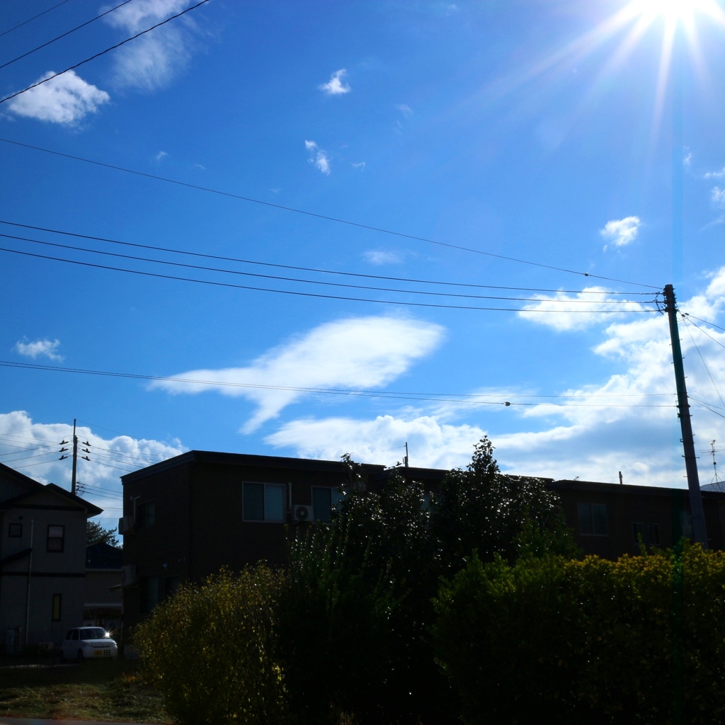 金魚のように見える雲