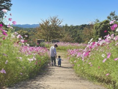 思い出を