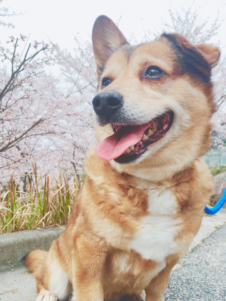 今年も