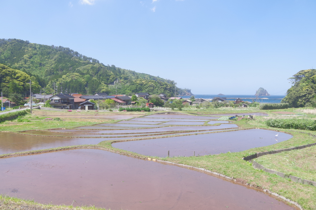 隠岐の島ジオパーク11