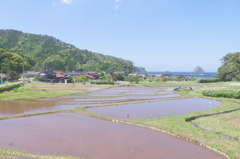 隠岐の島ジオパーク11