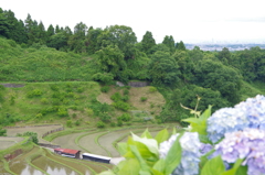 棚田1