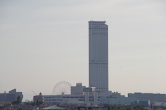 サンセットイルミネーション