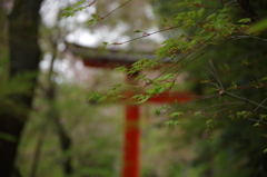 宇治上さま