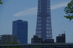 比較