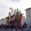 岸和田だんじり祭～南掃守地区～