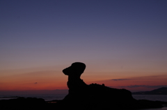 愛犬の黄昏......