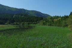 隠岐の島ジオパーク3