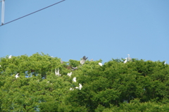 これが本当の....