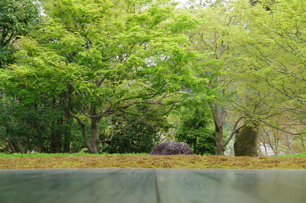 平等院2
