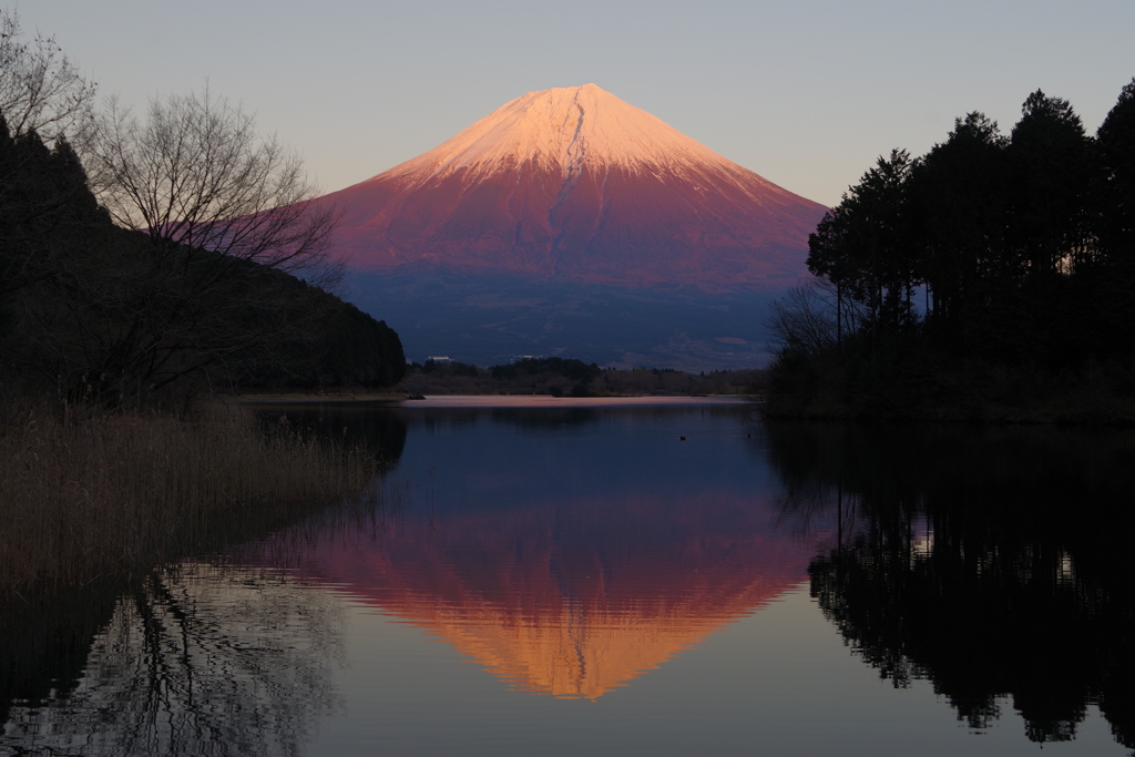 遅くなりましたが....