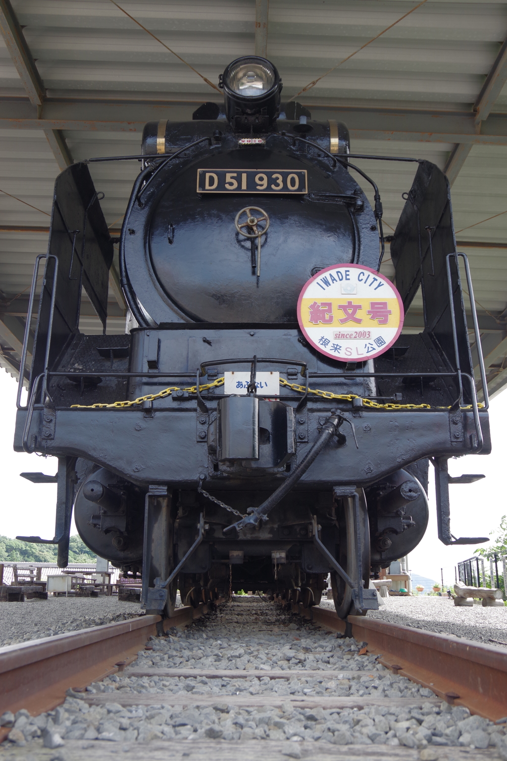 D51