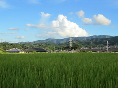 起点。