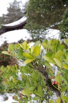 高野山にて......