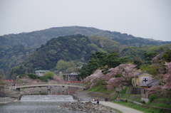 宇治川q(^-^q)