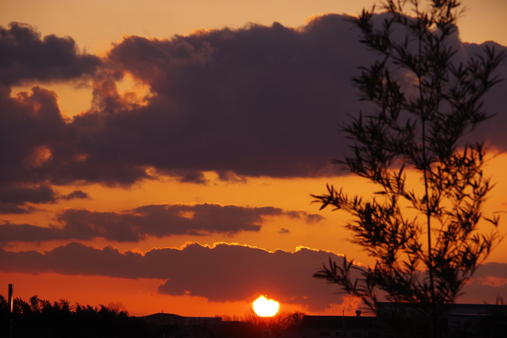 今日もありがとう。
