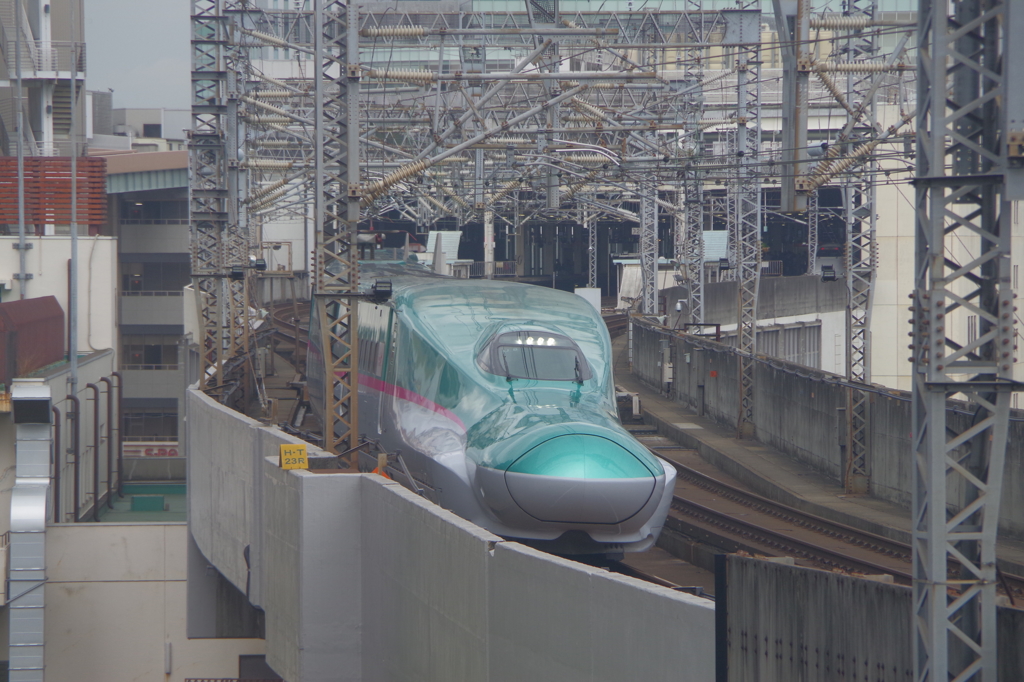 IMGP6570