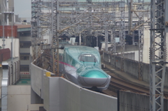 IMGP6570
