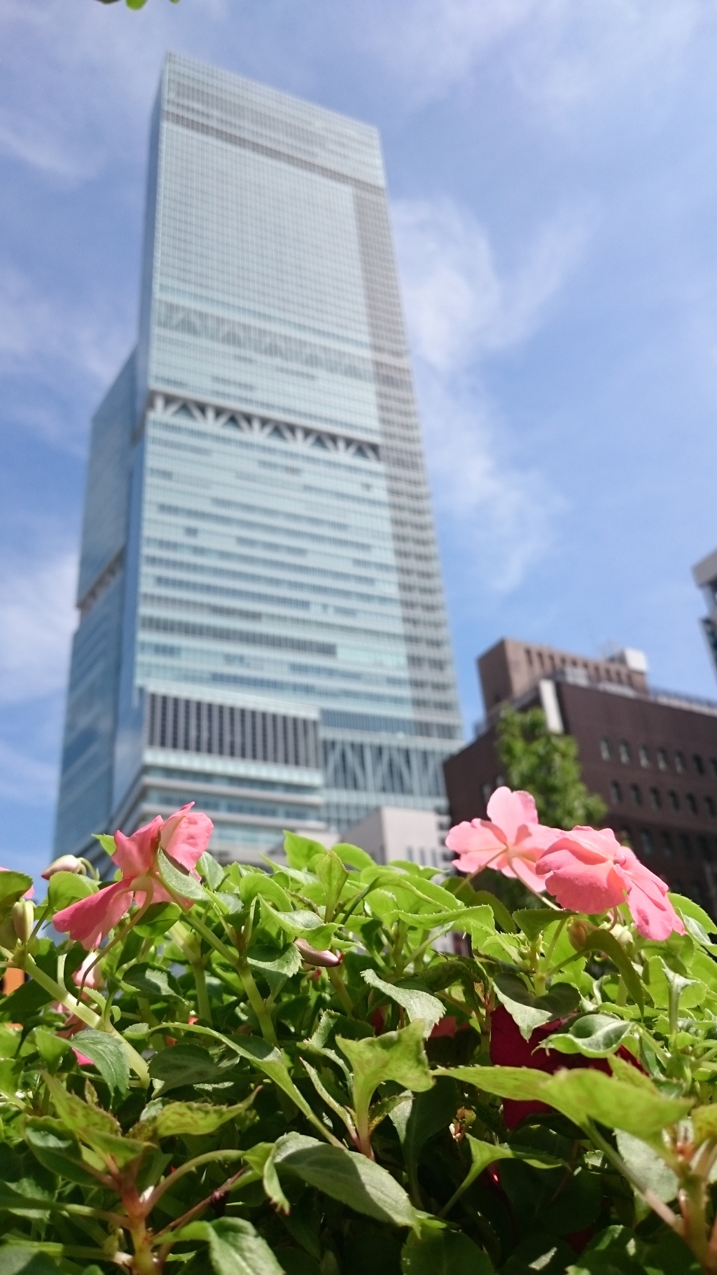 蔵出し携帯カメラ写真２