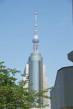 ミニスカイツリー！！！