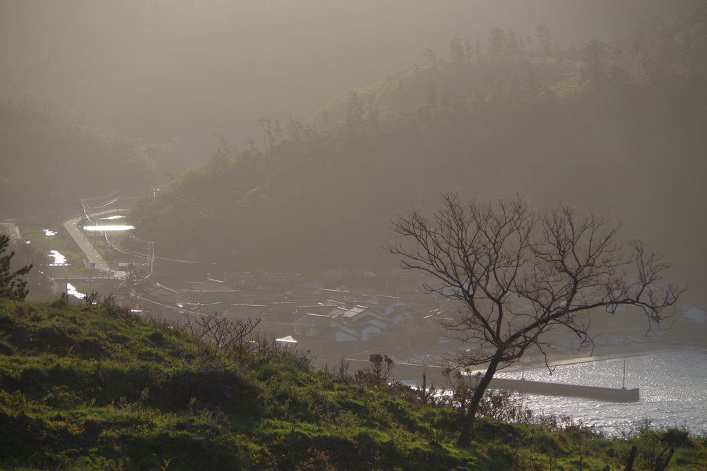 隠岐の島ジオパーク16