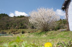 ぽかぽか