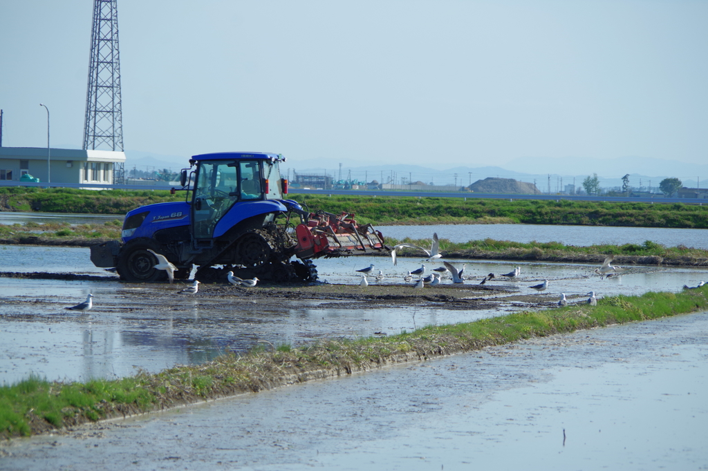 漁船じゃ無いよ....