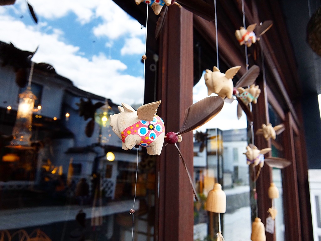 Flying pigs 