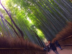 竹林の道