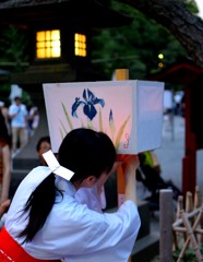 鎌倉ぼんぼり祭り