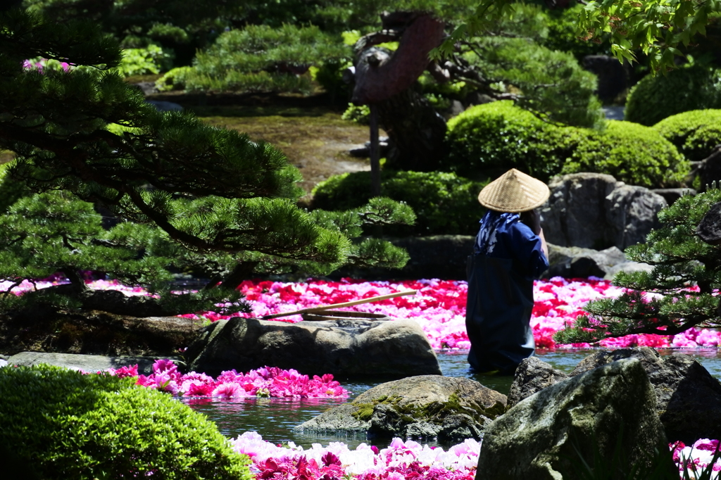 庭の手入れ