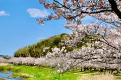 引地川親水公園