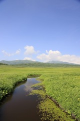雨竜沼湿原