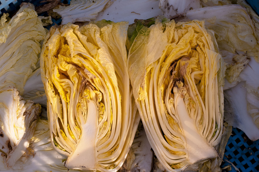 白菜