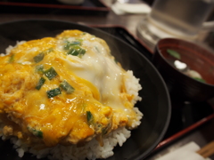 カキフライ丼