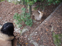 こんにちは。