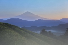 茶畑と富士山