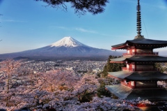 Mt. Fuji and Cherryblossom 