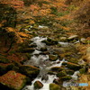 大北渓谷の紅葉