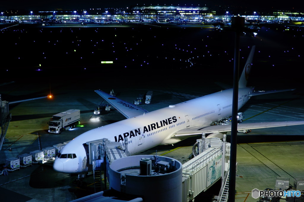 夜の羽田空港1