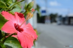 IMG_20151205_120243