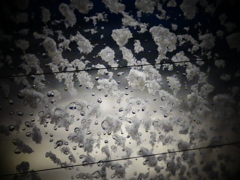 雪溶