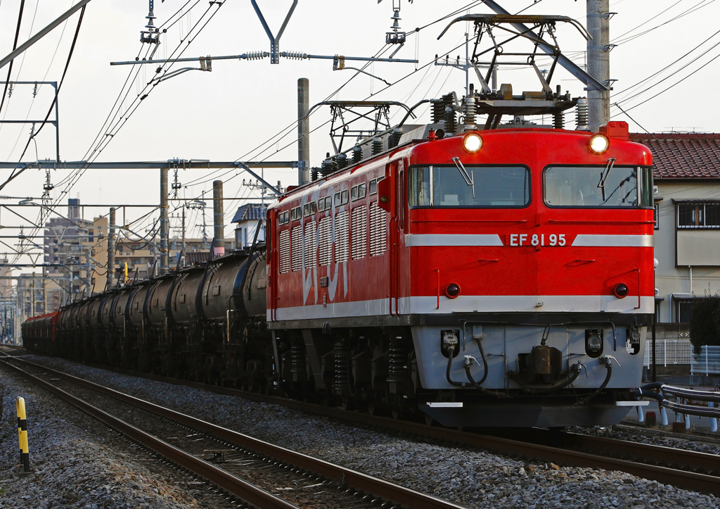 EF81-95