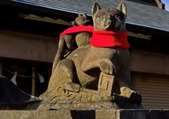小泉稲荷神社
