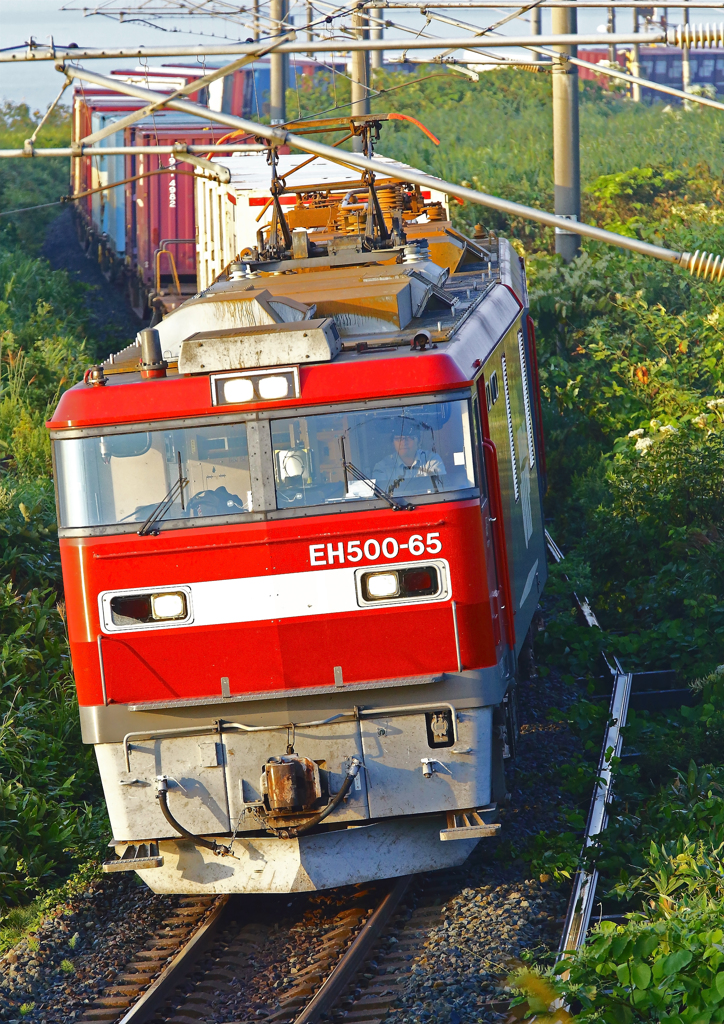 EH500-65