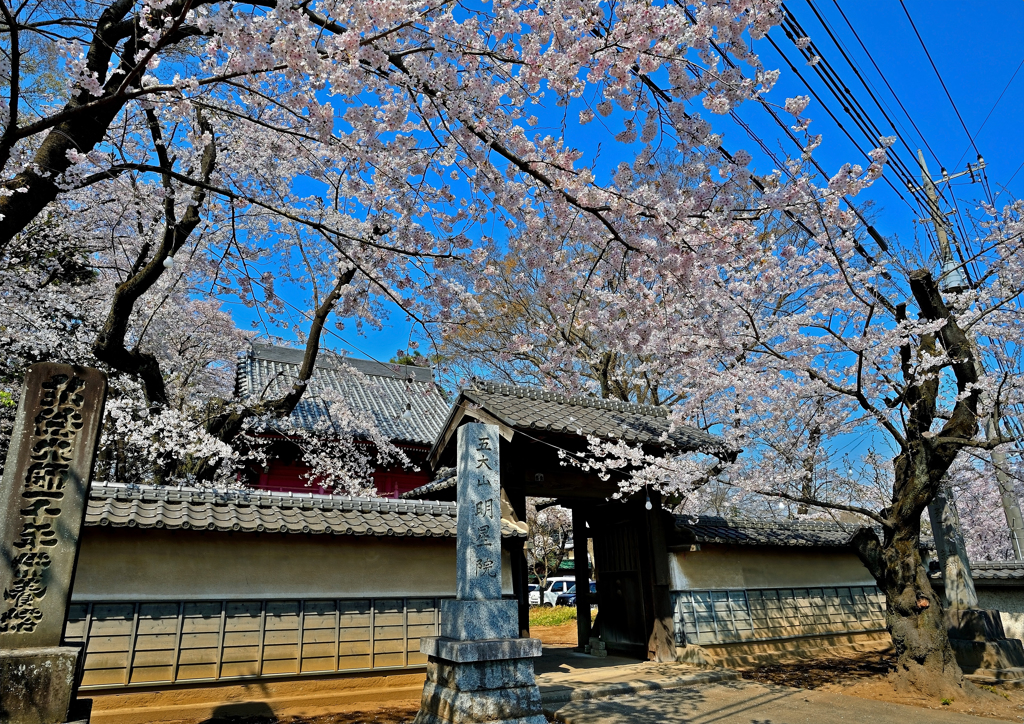 明星院