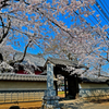 明星院