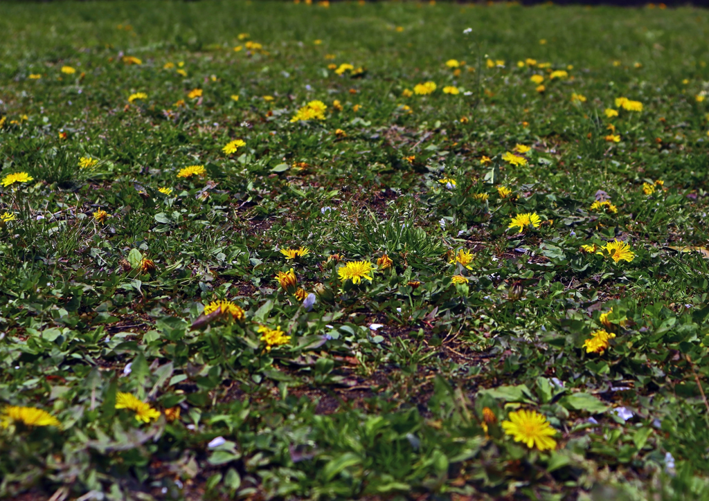 上平公園