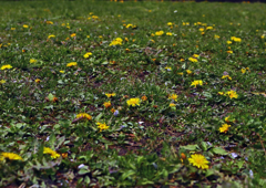 上平公園