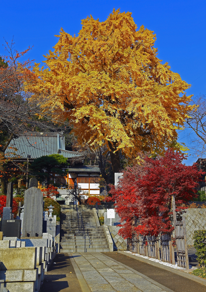 地福寺